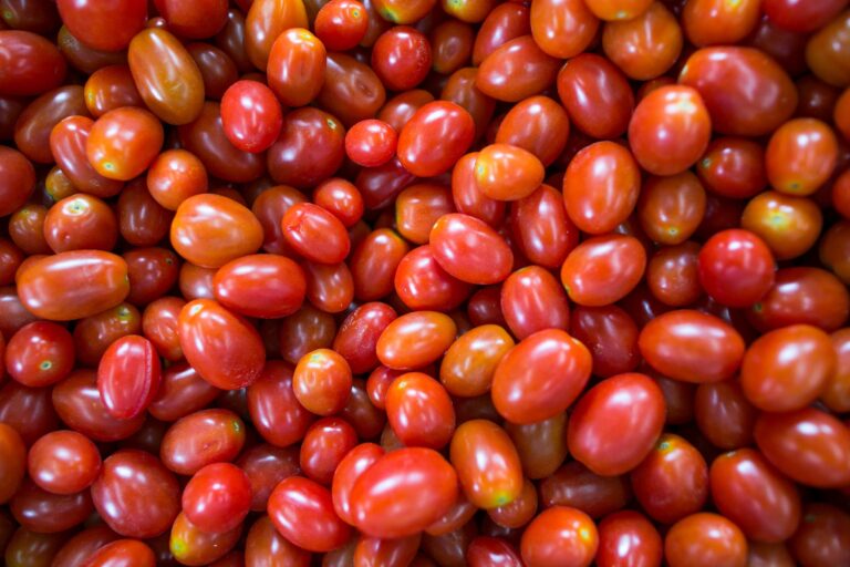 Preços do tomate registram alta após três semanas de queda
