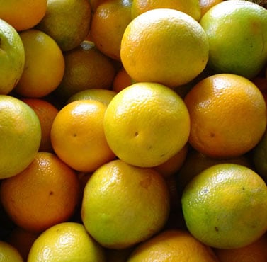 Mercado de laranja de mesa reage com preços em alta em agosto