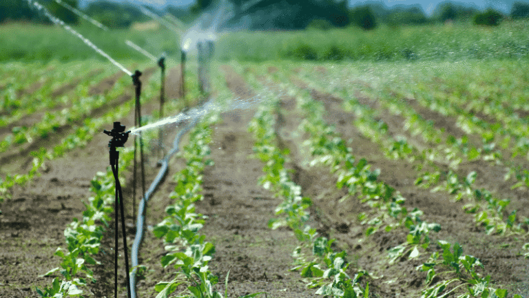 Filtragem adequada em irrigação aumenta produtividade das lavouras