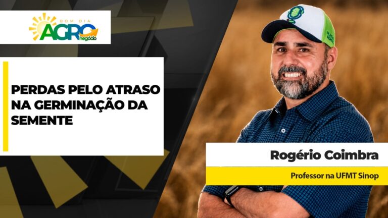 Produtor perde até 12 sacas de soja por dia de atraso na emergência de plântula