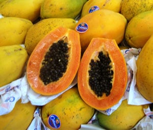 Temperaturas altas favorecem produção de mamão, mas pragas preocupam setor