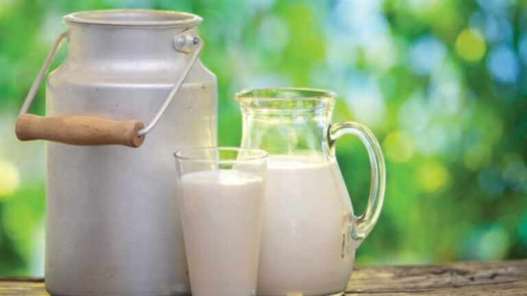 Tensão comercial entre Canadá e EUA amplia incerteza no setor agrícola