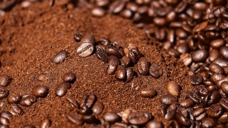 Colheita de café no Paraná atinge 77% e preço da saca volta a subir