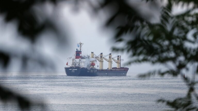 Guerra no Leste Europeu pressiona exportações de grãos pelo Mar Negro