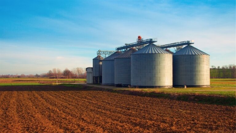 Cooperativas ampliam investimentos em qualidade pós-colheita de grãos