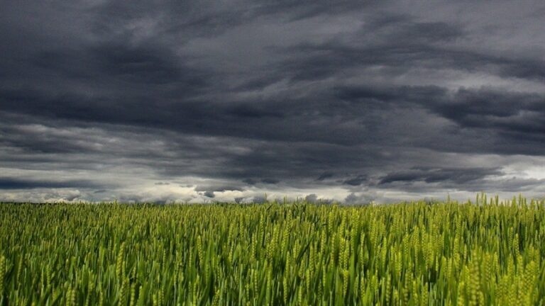Meteored prevê chuva irregular e calor acima da média na segunda quinzena de agosto