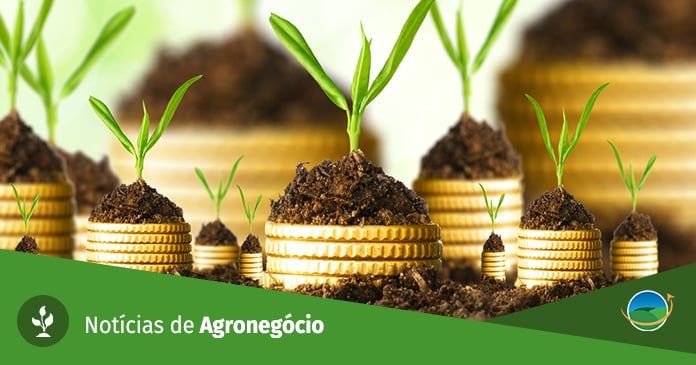 Minério de ferro sobe com expectativa de estímulo imobiliário na China