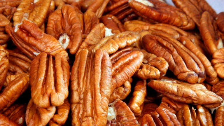 IB Pecan leva noz-pecã e derivados à Expointer 2026 em agosto