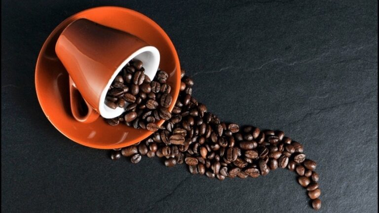 Cafés especiais brasileiros movimentam US$ 5,6 mi no Chile