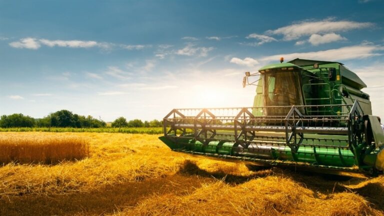 Argentina vê produtividade agrícola perder força a partir dos anos 2000