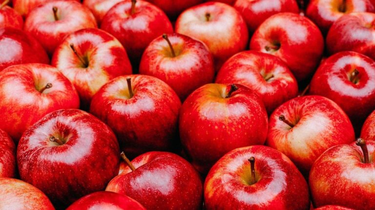 Maçã recupera preços em regiões classificadoras no início de agosto