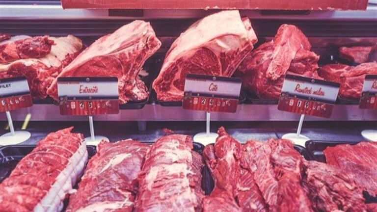Exportações de carne bovina caem 26% em agosto com novas restrições