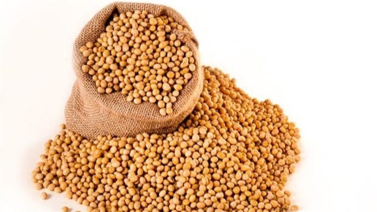 USDA revisa projeções de soja e milho com ajustes em produção e estoques