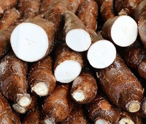 Mandioca: oferta restrita reforça alta das cotações