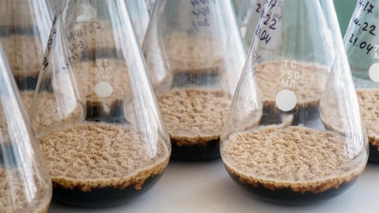 Regulação clara é essencial para expansão dos bioinsumos no Brasil