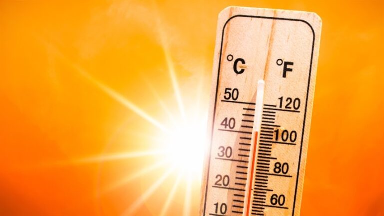 Onda de calor na Europa reduz produtividade de grãos e pressiona cadeia global