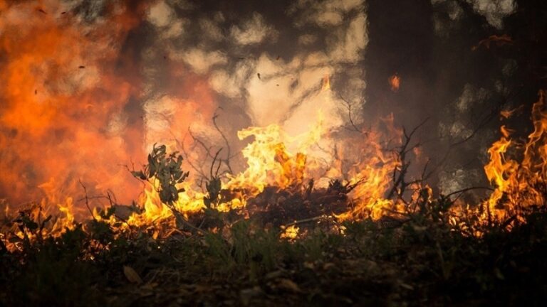Treinamento reforça prevenção a incêndios na Amazônia