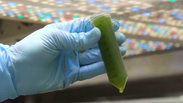 Produção de biometano cresce mas capacidade instalada permanece ociosa