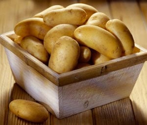 Preços da batata recuam nos principais atacados com intensificação da safra