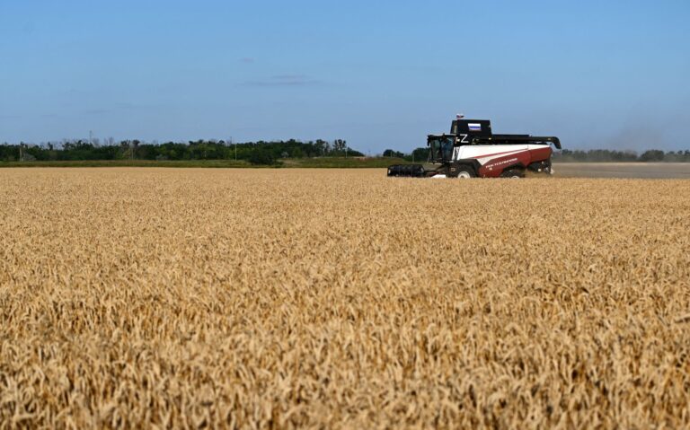 Sistema alimentar global fica mais resiliente ante forte El Niño previsto