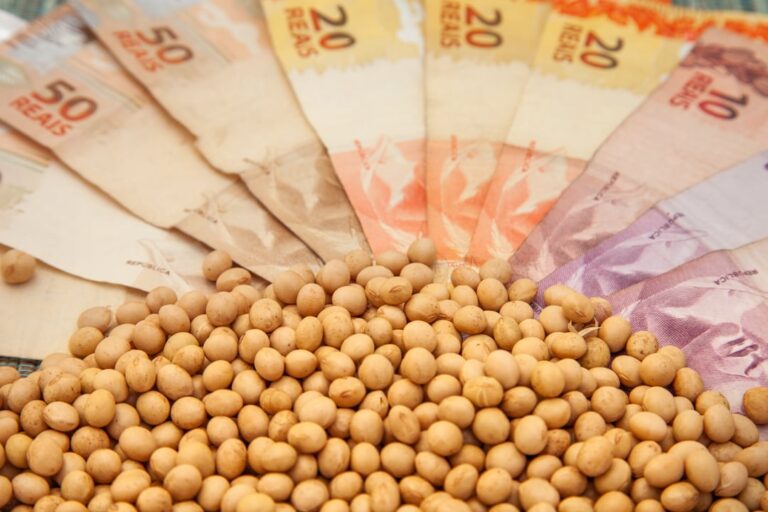 Soja sobe em praças brasileiras enquanto mercado aguarda relatório do USDA
