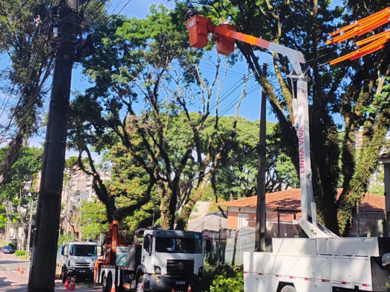Copel realiza poda de árvores em quatro bairros de Curitiba nesta quinta