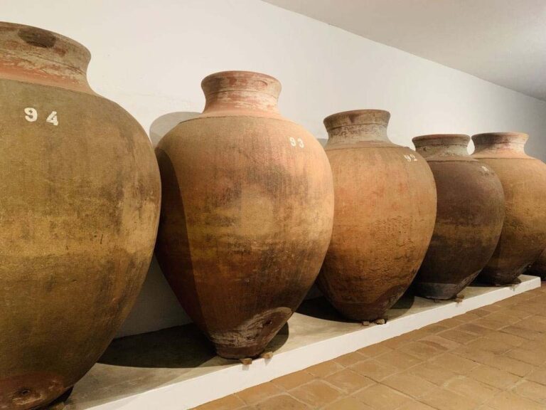 Historiador explora origem milenar do vinho em ânfora