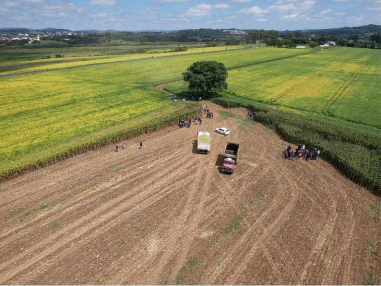 Paraná autoriza alunos de colégios agrícolas a operar tratores a partir dos 16 anos