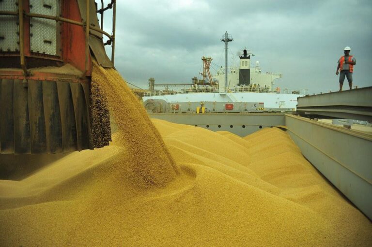 USDA eleva produção de soja dos EUA e revisa estimativas para Brasil