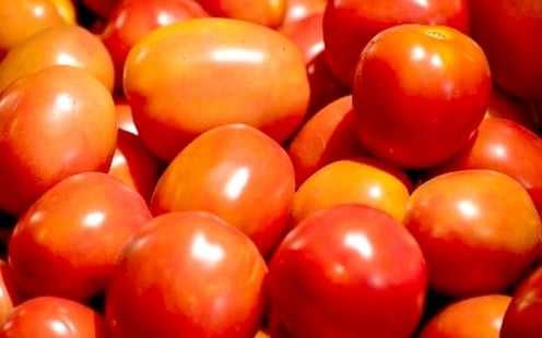 Tomate passa a integrar produtos com descontos no Pronaf a partir de agosto