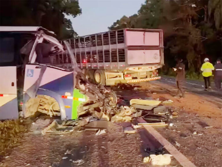 Acidente entre micro-ônibus e carreta deixa 23 mortos nos Campos Gerais