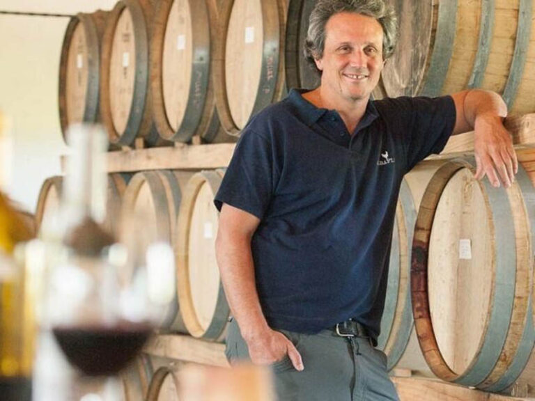 Mendoza consolida posição como principal porta de entrada de vinhos argentinos no Brasil