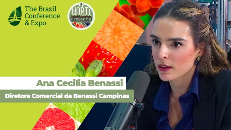 Benassi investe em tecnologia para expandir distribuição nacional de frutas e hortaliças