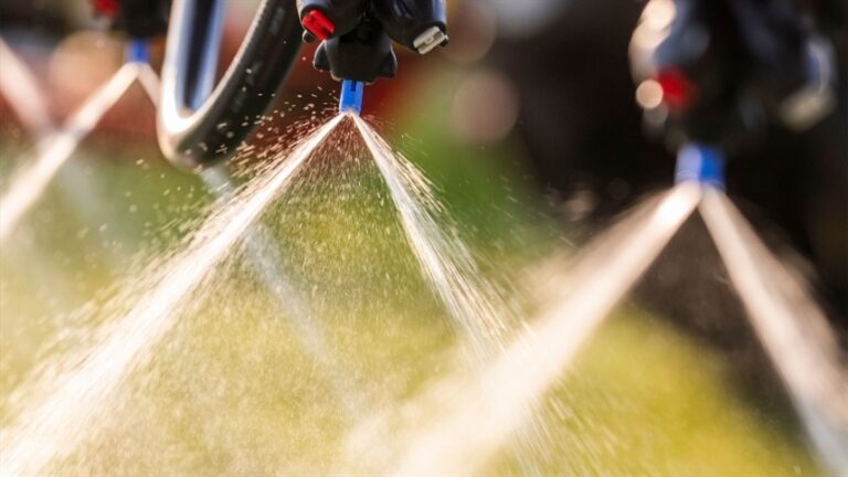 Dessecação pré-plantio prepara solo eliminando plantas daninhas