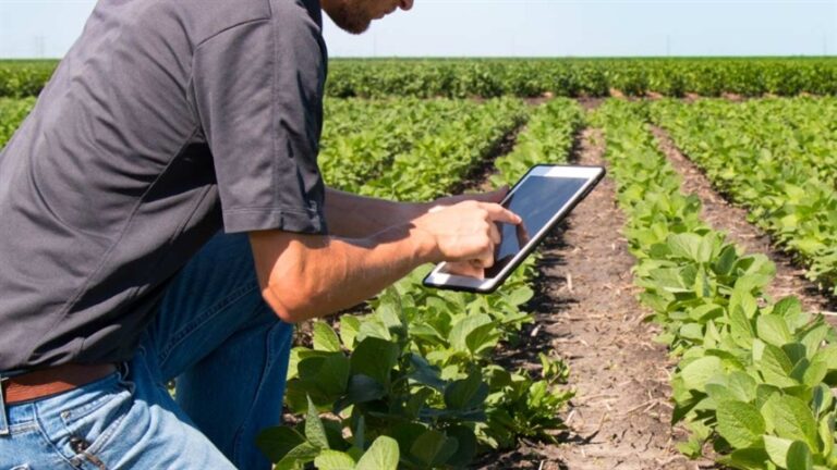 Governo cria serviço para orientar dúvidas sobre normas do agro