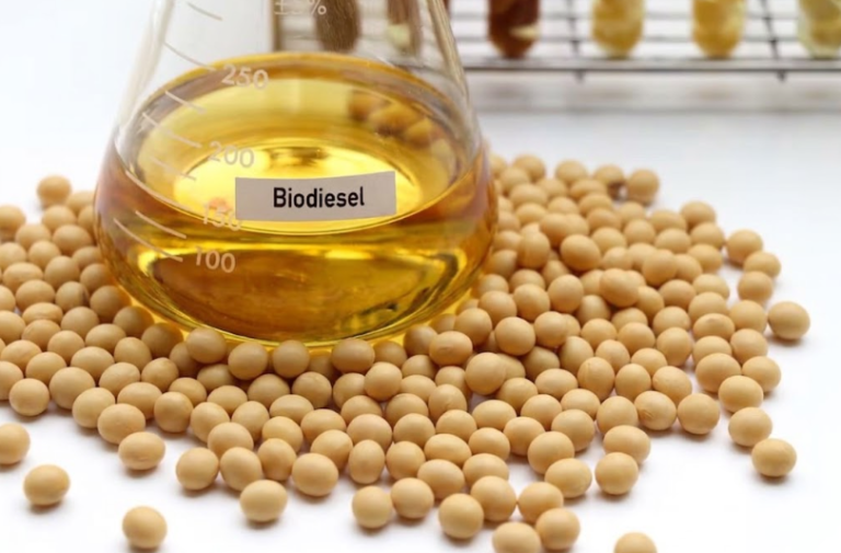 Biodiesel amplia demanda por soja e cria novas oportunidades no Brasil