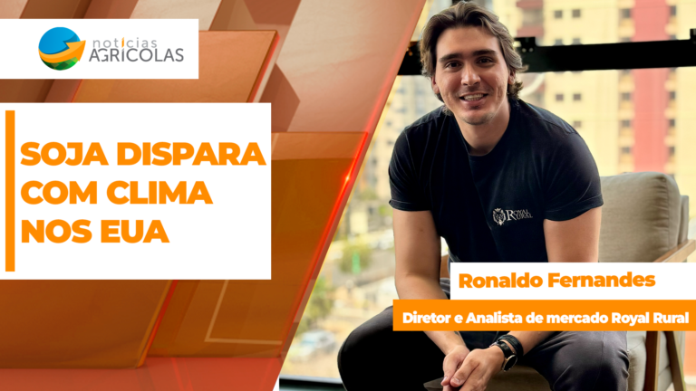 Soja sobe em Chicago com enchentes nos EUA e pressiona preços no Brasil