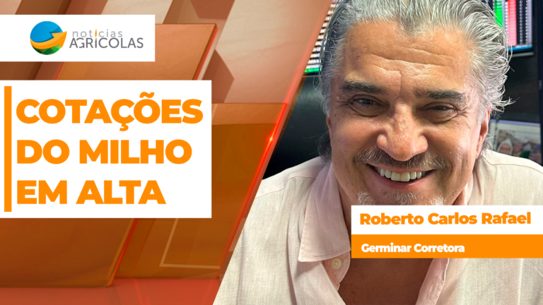 Cotações do milho devem permanecer em alta com problemas na safra dos EUA