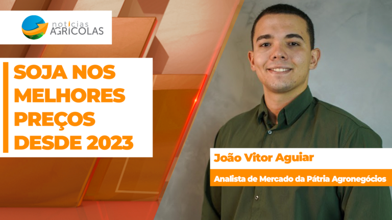 Cotação da soja atinge melhor patamar desde 2023 em Chicago