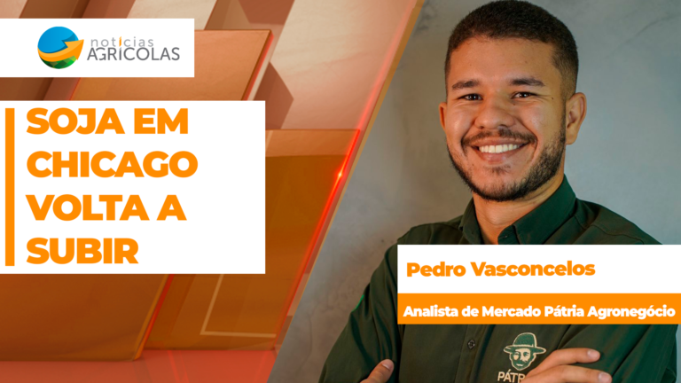 Soja sobe em Chicago e apresenta prêmios fortes no Brasil