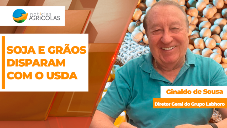 Soja dispara em Chicago após dados do USDA abrir janela para produtor brasileiro