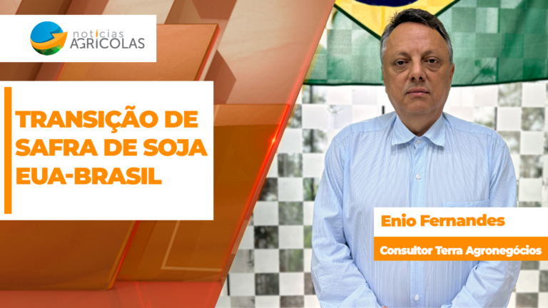 Soja cai mais de 1% em Chicago com dados do Pro Farmer