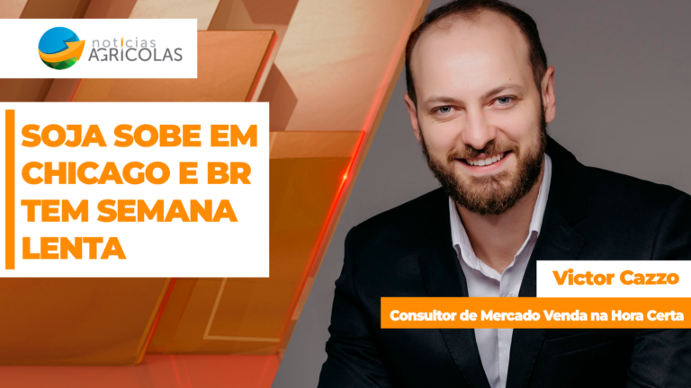 Soja fecha em alta em Chicago e confere semana de bons preços ao Brasil