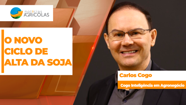 Soja fecha semana acima de US$ 13 em Chicago e amplia margens no Brasil