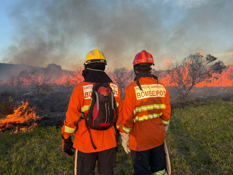 CBMPR treina 500 bombeiros em combate a incêndios florestais