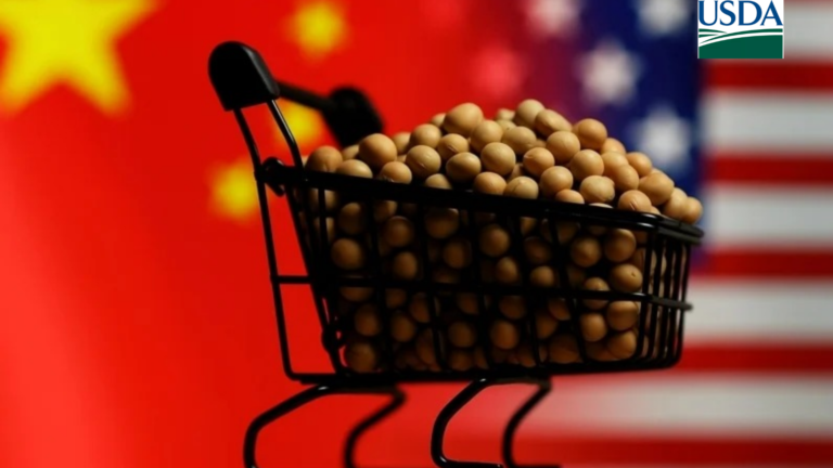 China amplia compras de soja americana; volume ultrapassa 500 mil toneladas