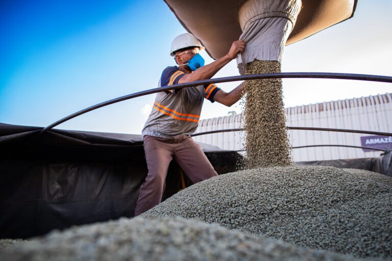 Cooxupé alcança 74,6% na colheita de café até 7 de agosto