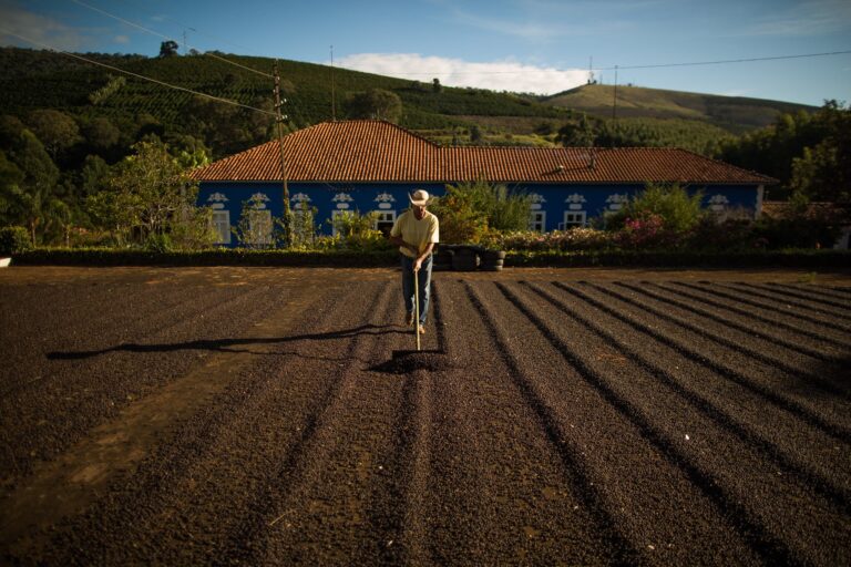 Inmet prevê chuva no Sudeste e alerta produtores de café sobre colheita