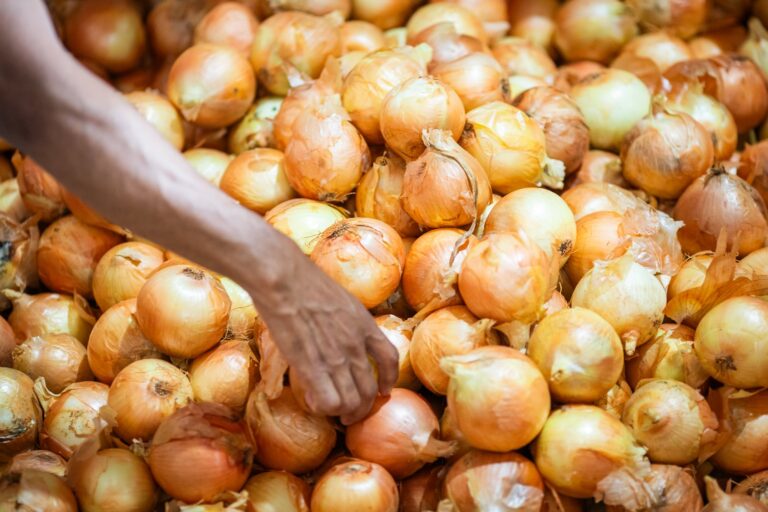 Cebola sobe de preço em São Paulo com oferta mais controlada