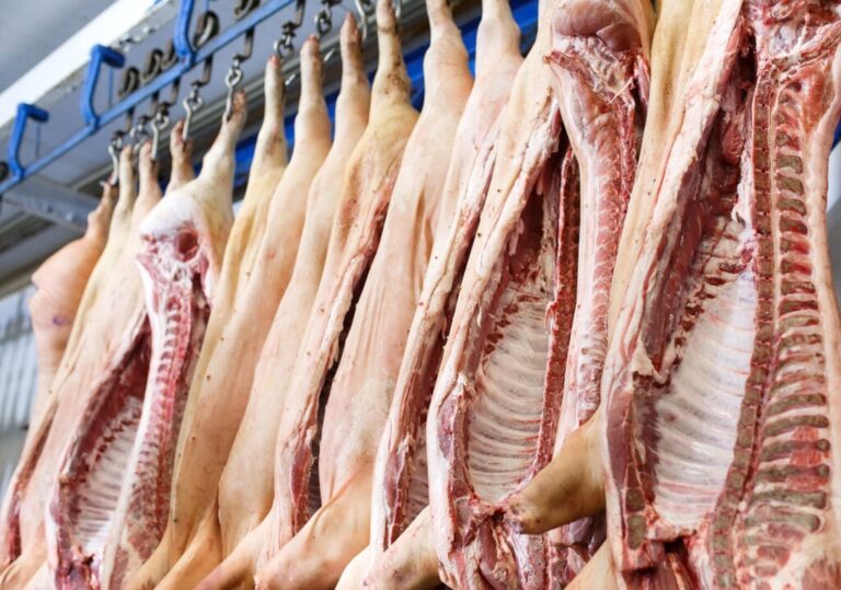 Safras & Mercado aponta queda de 21,6% nos abates bovinos em julho